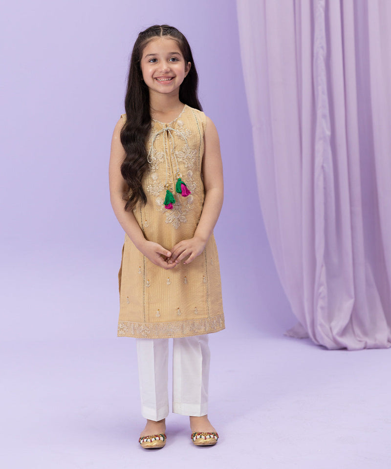 Embroidered Zari Organza Shirt