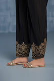 Embroidered Raw Silk Shalwar
