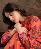 3 Piece - Printed Khaddar Suit