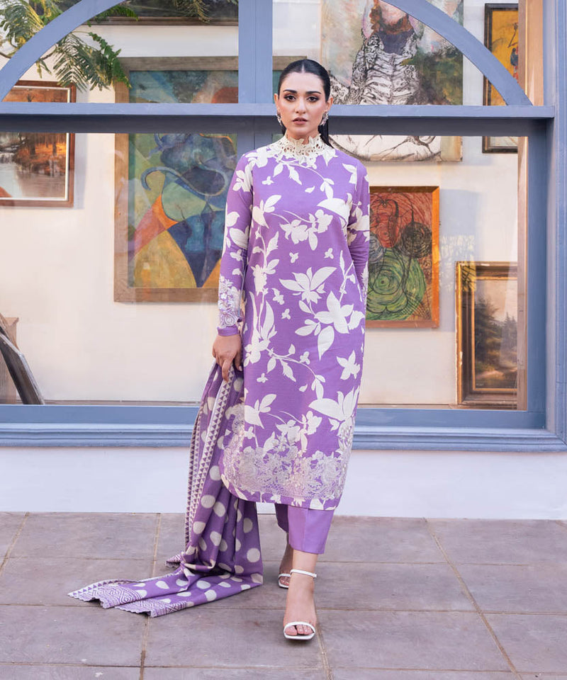 3 Piece - Embroidered Khaddar Suit