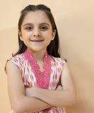 Embroidered Zari Lawn Shirt