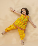 2 Piece - Printed Lawn Suit