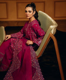 3 Piece - Embroidered Cotton Karandi Suit