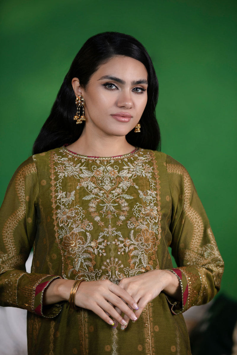 2 Piece - Embroidered Organza Suit