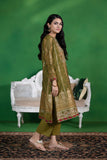2 Piece - Embroidered Organza Suit