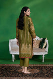 2 Piece - Embroidered Organza Suit