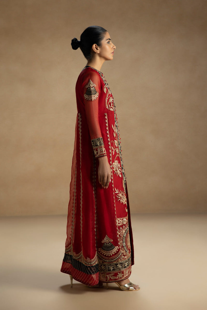 Embroidered Organza Pishwas