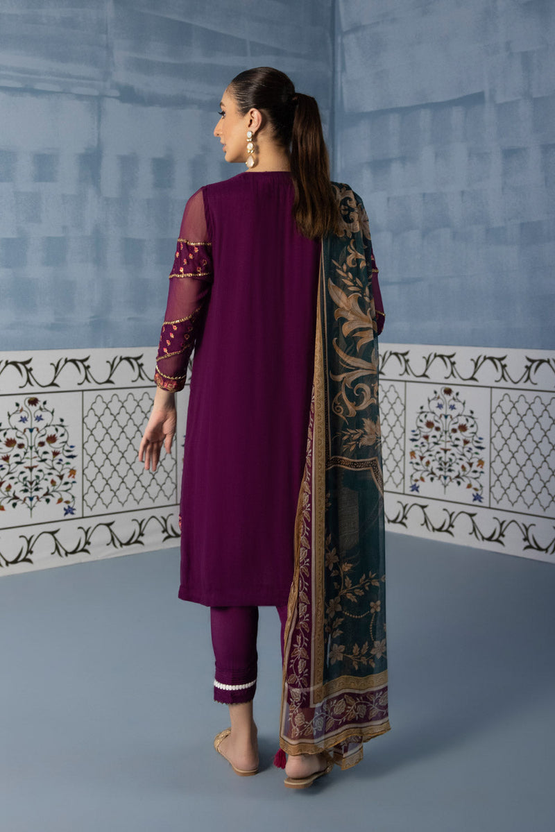 2 Piece - Embroidered Chiffon Suit