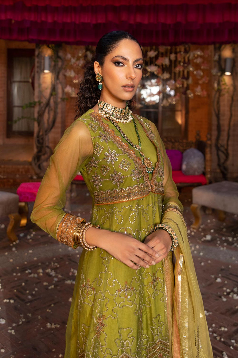 Embroidered Net Pishwas