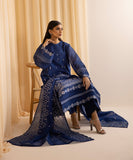 3 Piece - Embroidered Karandi Suit